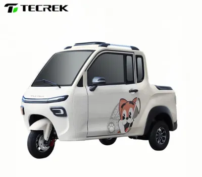 Electric Tricycle Electric Tricycle