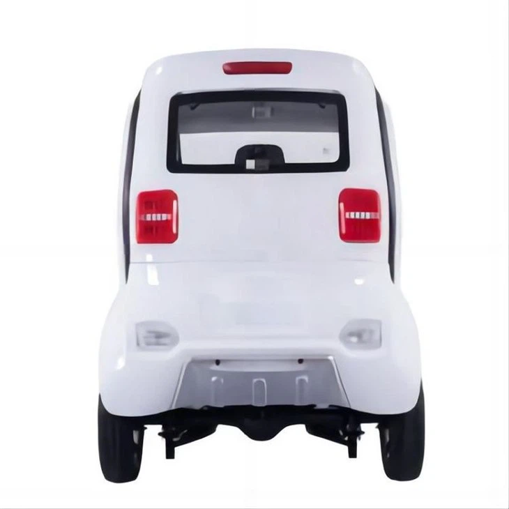 Lithium high speed mini electric car (2)